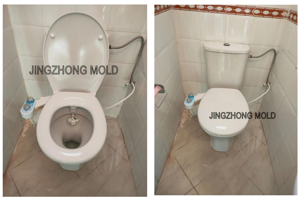 toilet bidet