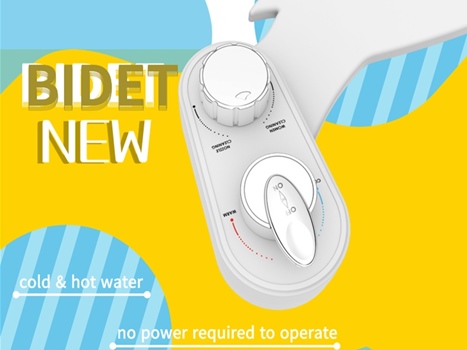 Hot and Cold Water Bidet Installation